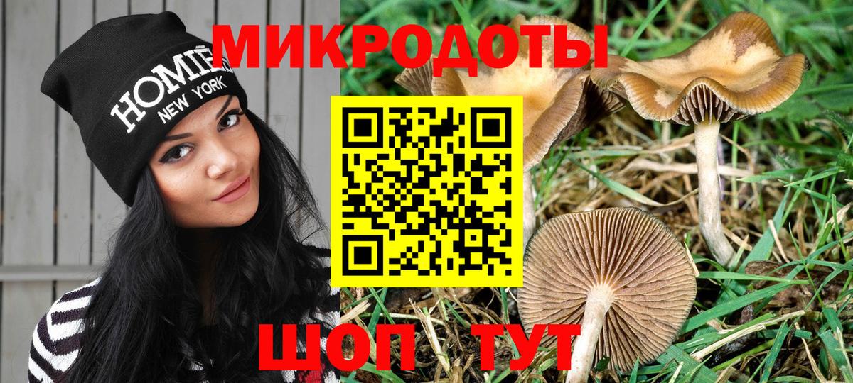 Галлюциногенные грибы Magic Shrooms  Галлюциногенные грибы прущие грибы  где продают наркотики  Вход с VPN  Кирово-Чепецк 